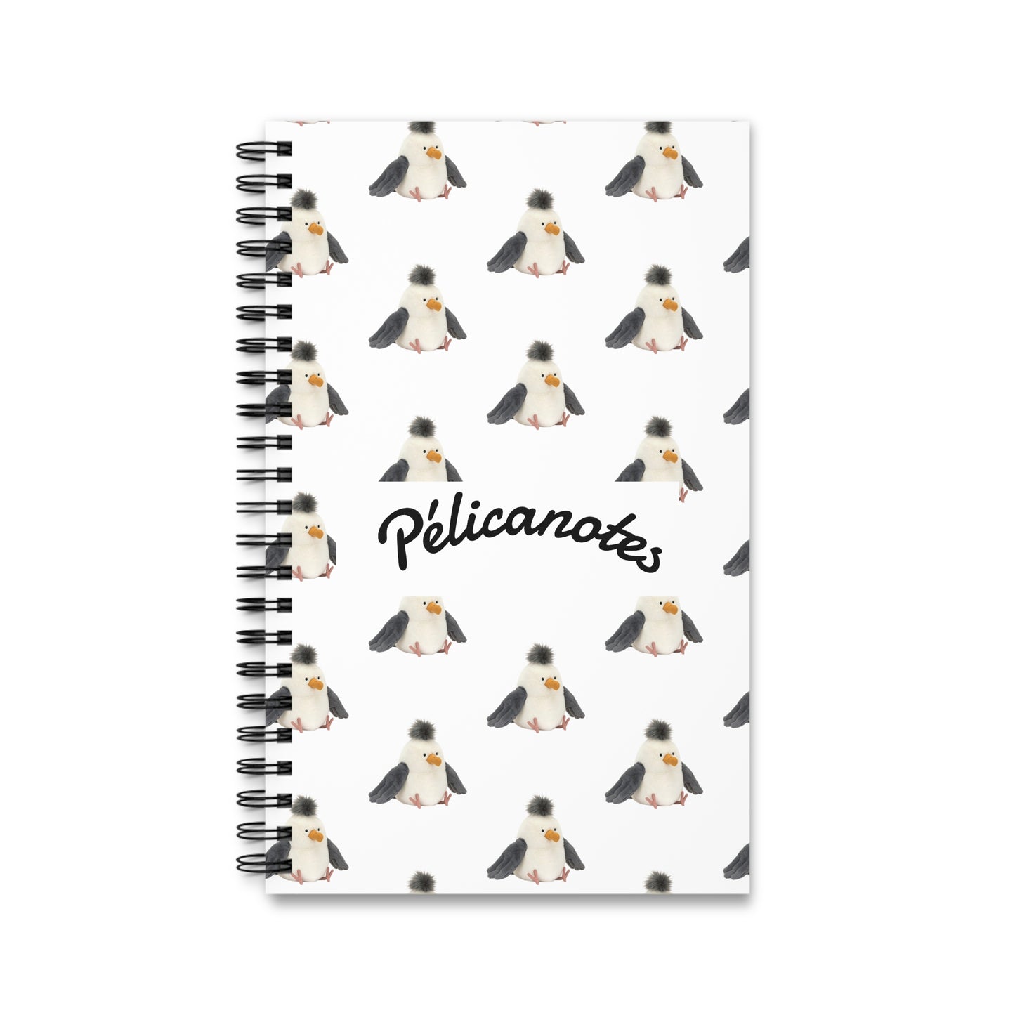 Cahier de Pélicanotes 📖