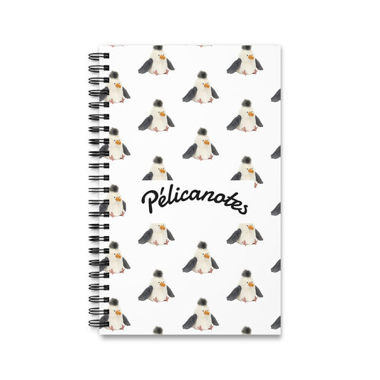 Cahier de Pélicanotes 📖